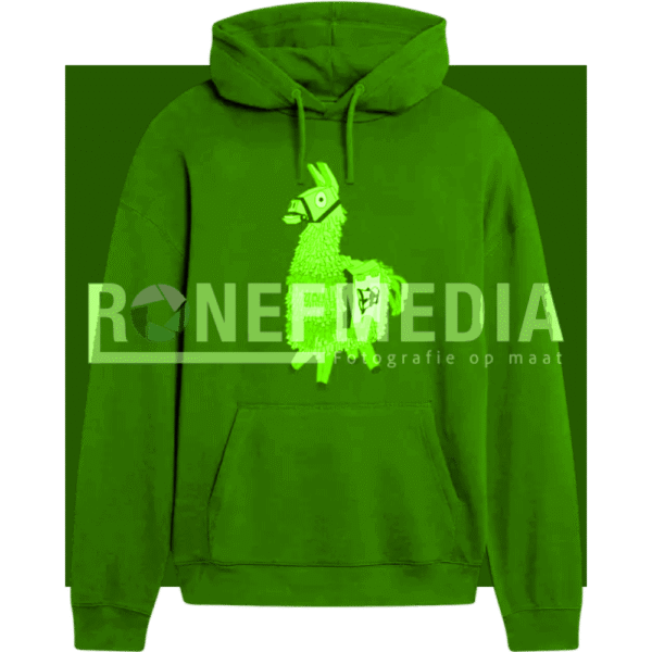 Winter Hoodies - Afbeelding 2