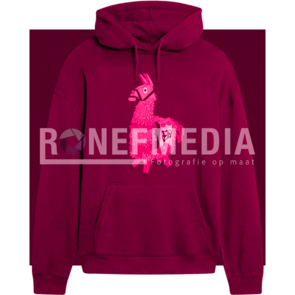 Winter Hoodies - Afbeelding 3